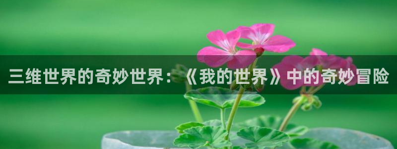 天堂动漫.：三维世界的奇妙世界：《我的世界》中的奇妙冒险