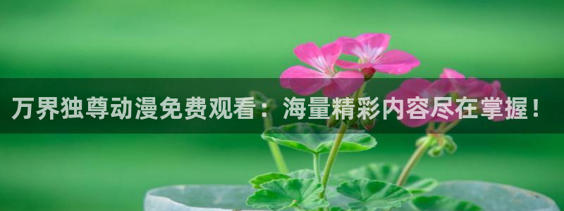 禁动漫天堂动漫网：万界独尊动漫免费观看：海量精彩内容尽在掌握！