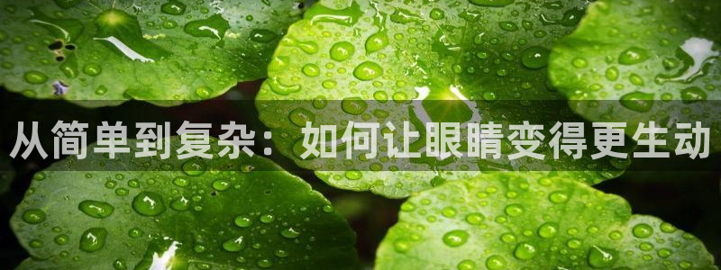 女仆在天堂动漫：从简单到复杂：如何让眼睛变得更生动